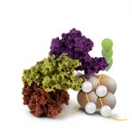 Springer Genetics Molecular Biology Cell Biology eBook-0