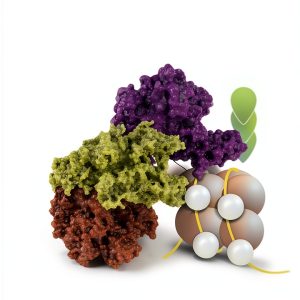 Springer Genetics Molecular Biology Cell Biology eBook-0